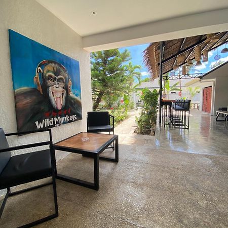 Wild Monkeys Hostel موالبوال المظهر الخارجي الصورة