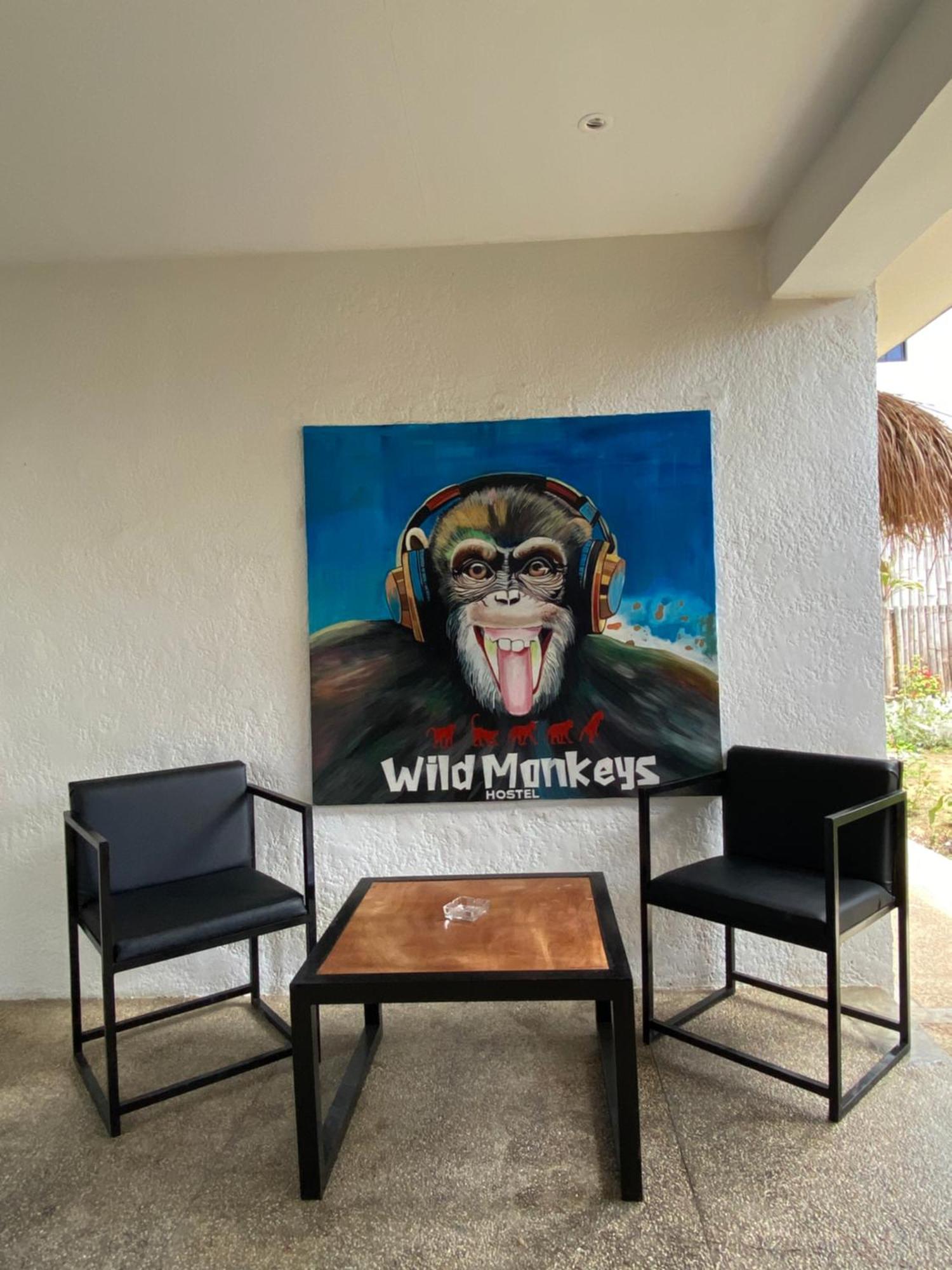 Wild Monkeys Hostel موالبوال المظهر الخارجي الصورة